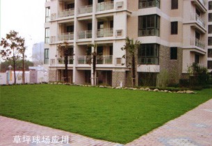 草坪球場(chǎng)