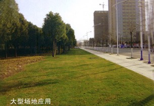 大型場(chǎng)地